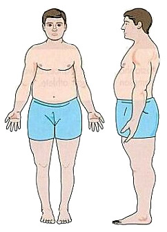 Endomorfik